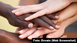 Imagen de referencia