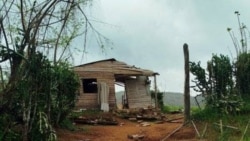 Familias en Velasco y Palmarito de Cauto denuncian falta de ayuda oficial tras el huracán Melissa